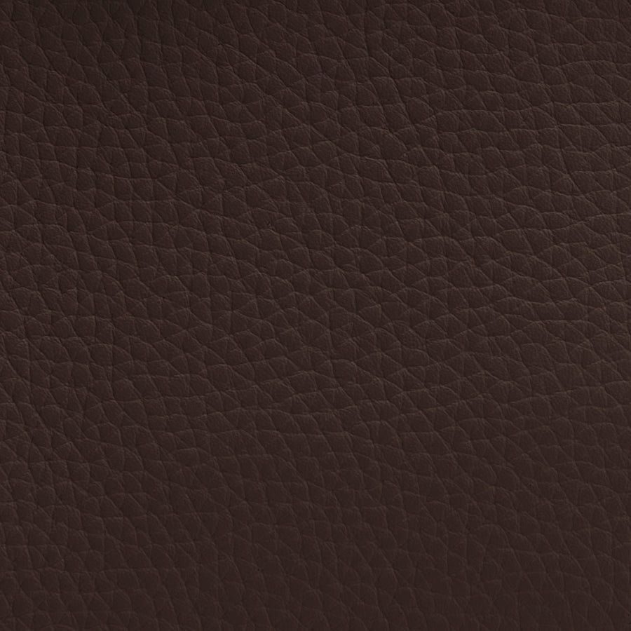Voyager Travel Case